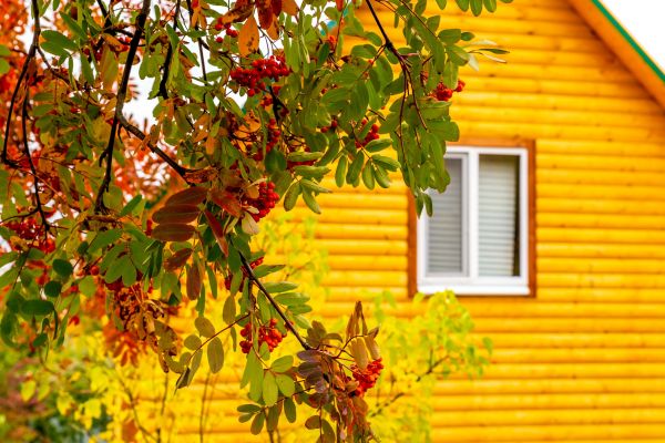 Garden Window Replacement in Copperas Cove
